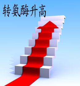 谷丙轉(zhuǎn)氨酶高