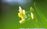 病毒性肝炎的癥狀