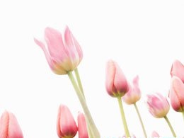 轉(zhuǎn)氨酶高怎么治療