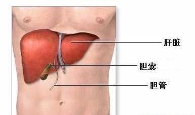 乙肝會通過流汗傳染嗎
