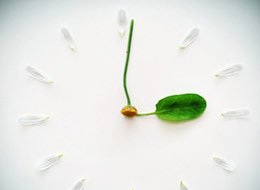 肝腹水晚期的癥狀是什么