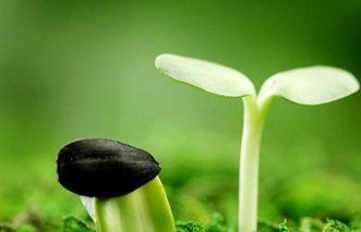 乙肝病毒引起的肝硬化會(huì)傳染嗎