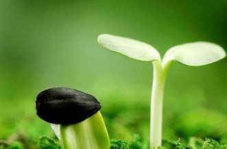 有什么辦法可以預防丙肝