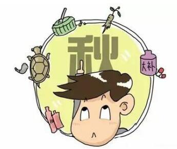 ̖(ho)Դ_(ki)95—11ոβҕ(hu)\A(y)s(yu)ȕ(hu)\